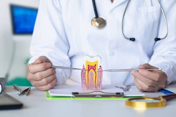 Best 24-Hour Emergency Dentist in Manistee, MI
